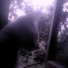 bi_ngu_gu_thang
