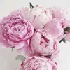 peony.syakuyaku.80