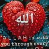 Anah Ahmad