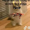 hang.ng23