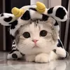nnnanfah