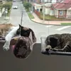 mrminchiymsskitty1