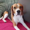 marvin.friendly