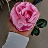 il_soldato_mascherato2