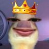 dyn_hrtini