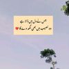 rahzaib.rajput