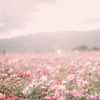 user746816911781