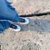 abulashabul8