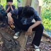 faridd839