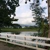linaimutz5