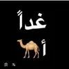 mayae.saddam