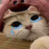 rorww_0