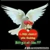 user57520320424162