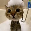 nicholas_0260