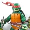 tortu508