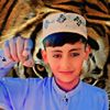 shirazking666