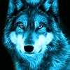 sohan.wolf