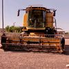 ali439505