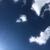 juuungkoookk