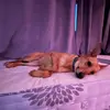 bradderz.3