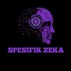 Spesifik
