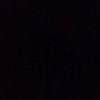 feniks_179