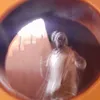 chiedoz1e