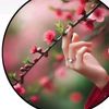 abdul.jabbar72272