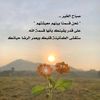 abdularashid87