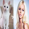 doza_878