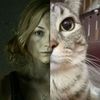 kittehtears0_0