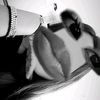 heartz.yeni