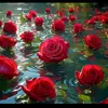 samir.bhar0