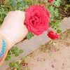 user1059710637542