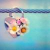 nawel.meriem
