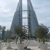 muhammadrahees67