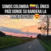 luis.silva873