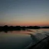 vicisafa