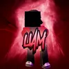 wyz.luk4z