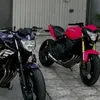 samueldasilva6733