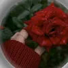 nuna.xanm23
