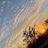 thealex_123
