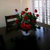 gracesalazar409