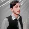 shahpuralamaher