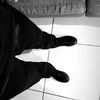 guz_erick