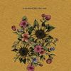 marysunflowers