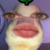 tulippppp2