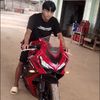 bjzh8