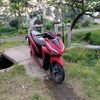 vario_boiss