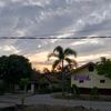 _rye.pena97